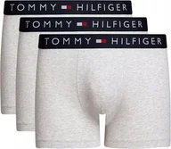 Majtki męskie - Bokserki Męskie Tommy Hilfiger TH Trunk 3Pack (UM0UM03400-0R4) XL - miniaturka - grafika 1