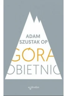 W drodze Góra obietnic - Adam Szustak - Religia i religioznawstwo - miniaturka - grafika 2