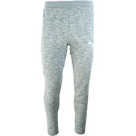 Spodnie sportowe damskie - Puma Spodnie Evostripe 58581303 R S - miniaturka - grafika 1
