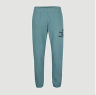 Dresy męskie - Męskie Spodnie FUTURE SURF JOGGER XXL - miniaturka - grafika 1