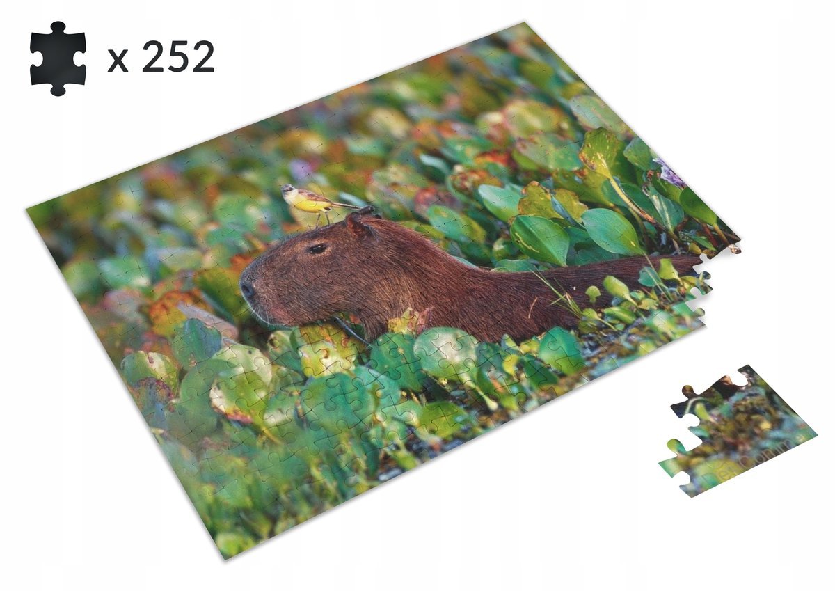 Puzzle KAPIBARA Prezent + IMIĘ w prezencie A4 120e. #6