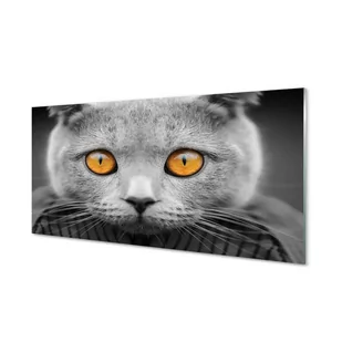 Panel między szafki  Szary kot brytyjski 120x60 cm - Dekoracje domu - miniaturka - grafika 1