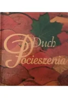 Poezja - Duch pocieszenia - miniaturka - grafika 1