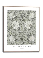 Obrazy i zdjęcia na płótnie - Orangewallz Druk artystyczny "William Morris - Pimpernel" w ramce - 40 x 50 cm - miniaturka - grafika 1