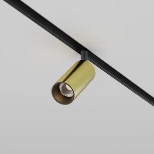 EXILITY Focus LED 5W CCT 36st Bluetooth reflektor złoty do szyn magnetycznych - Lampy pozostałe - miniaturka - grafika 1