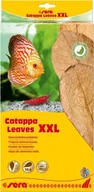 Preparaty do akwarium - Sera Liście migdałecznika - Catappa Leaves XXL, 32 cm, 10szt/OPAK - miniaturka - grafika 1