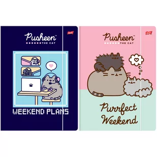 2 X TECZKA Z GUMKĄ A4 PUSHEEN UNIPAP, KAŻDA INNA - Teczki i skoroszyty - miniaturka - grafika 1