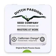 Nasiona i cebule - Nasiona konopi Dutch Passion - California Orange (fem) 5 szt. - miniaturka - grafika 1