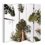 Parawany - Parawan pokojowy FEEBY, Wierzchołki drzew, Obrotowy 180x170cm 5-częściowy - miniaturka - grafika 1