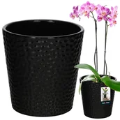 Donice - Doniczka donica osłonka czarna ceramiczna kwiaty rośliny storczyki fi 9,5cm - KOTARBAU - miniaturka - grafika 1