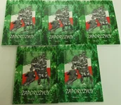 Pamiętniki, dzienniki, listy - Ewa Kurek Zaporczycy Relacje tom 1 5 - miniaturka - grafika 1