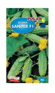 Nasiona i cebule - Ogórek gruntowy Sander - mieszaniec 5 g POLAN - miniaturka - grafika 1