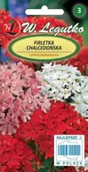 Nasiona i cebule - Firletka Chalcedońska Mix 0,3 G - miniaturka - grafika 1