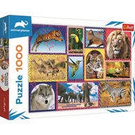 Puzzle - Trefl Puzzle 1000 Dzika natura Discovery Animal Planet - - miniaturka - grafika 1