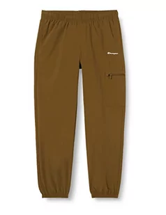 Champion Męskie spodnie dresowe Authentic Pants Small Script Logo Cargo, spodnie treningowe, zielony (moosgrün), L - Spodenki męskie - miniaturka - grafika 1