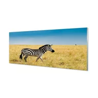 Dekoracje domu - Płyta szklana do kuchni + klej Zebra pole 125x50 cm - miniaturka - grafika 1