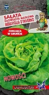 Nasiona i cebule - Sałata masłowa Meraviglia D'Inverno 2g / O / - miniaturka - grafika 1