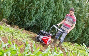 GLEBOGRYZARKA SPALINOWA KULTYWATOR PUBERT VARIO 65BC3 B&S Briggs & Stratton - EWIMAX - Glebogryzarki - miniaturka - grafika 10