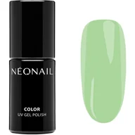 Lakiery hybrydowe - NEONAIL Blooming Dreams hybrydowy lakier do paznokci z użyciem lampy UV / LED odcień Eternal Fantasies 7.2 ml - miniaturka - grafika 1