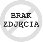 Torby sportowe - Under Armour, Torba sportowa Undeniable 5.0 Duffle LG, 1369224-012, Szara - miniaturka - grafika 1