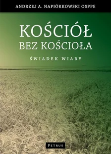 Petrus Kościół bez Kościoła - Filozofia i socjologia - miniaturka - grafika 1