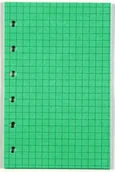 Szkolne artykuły papiernicze - Antra Wkład do segregatora A5 kratka kolorowa linia - zielona - miniaturka - grafika 1