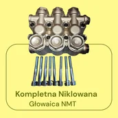 Akcesoria do pomp - Kompletna Głowica Niklowana NMT FI 20 - miniaturka - grafika 1