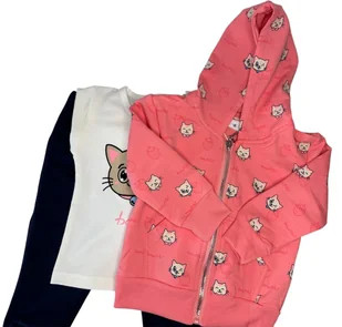 dres komplet dla dziewczynki, bluza, spodnie, bluzka 92/98- 3 latka - Bluzki damskie - miniaturka - grafika 1