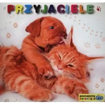 Poznajemy zwierzęta Przyjaciele - Liwona - Książki edukacyjne - miniaturka - grafika 1