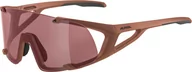 Okulary sportowe - Alpina Alpina Hawkeye Q-Lite Glasses, czarny  2022 Okulary 8691051 - miniaturka - grafika 1