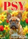 Kalendarze - Kalendarz 2026 A4 Wieloplanszowy Psy - miniaturka - grafika 1