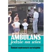 Felietony i reportaże - Ambulans jedzie na wieś - miniaturka - grafika 1