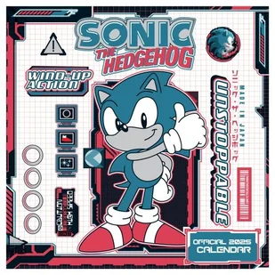 Kalendarz ścienny 2025 Sonic The Hedgehog terminarz, organizer na ścianę - Kalendarze - miniaturka - grafika 1