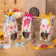 Miód - Miód z czarną porzeczką Nasza Pszczelarnia w kolorowym opakowaniu 420g - miniaturka - grafika 1