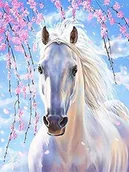 Malowanie po numerach - Obraz Malowanie Po Numerach Na Krośnie + Rama - miniaturka - grafika 1