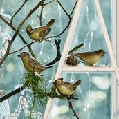 Ozdoby bożonarodzeniowe - Ptak, zestaw 4 szt. Pompaire - miniaturka - grafika 1