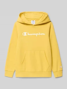Bluza z kapturem - Swetry dla chłopców - miniaturka - grafika 1