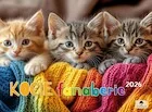 Kalendarze - Kalendarz 2026 Ścienny albumowy kocie fanaberie - miniaturka - grafika 1