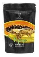 Pokarm dla płazów i gadów - Gecko Nutrition Papaya 100g - miniaturka - grafika 1