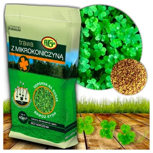 TRAWA Wzbogacająca Trawnik z Mikrokoniczyną Koniczyna Odporna na Suszę 1KG - Nasiona i cebule - miniaturka - grafika 1