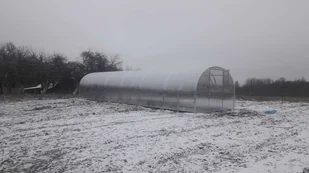 Szklarnia BALTIC LT 3x12m (dł. x szer.) z 4 mm poliwęglanu. - Szklarnie ogrodowe - miniaturka - grafika 1