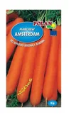 Nasiona i cebule - Marchew jadalna Amsterdam 3 5 g POLAN - miniaturka - grafika 1