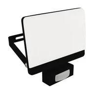 Oświetlenie warsztatowe - Naświetlacz z czujnikiem ruchu BRYZA LED S 30 W black neutralna biel nW strühm - miniaturka - grafika 1