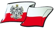Akcesoria motoryzacyjne - NAKLEJKA WLEP NA AUTO SAMOCHÓD  WLEPKA ALUMINIOWA WYPUKŁA FLAGA PL GODŁO 8,5 x 4,5cm 2/33087 - miniaturka - grafika 1