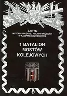 Historia świata - 1 Batalion Mostów Kolejowych Piotr Zarzycki - miniaturka - grafika 1