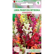 Nasiona i cebule - Lwia paszcza wysoka mieszanka 60-70 cm W.Legutko - miniaturka - grafika 1