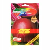 Nasiona i cebule - BURAK ĆWIKŁOWY NOCHOWSKI OKRĄGŁY smaczny NASIONA DUŻE OPAKOWANIE p. PL930/26/624/13A - miniaturka - grafika 1