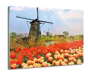 Deski do krojenia - osłona splashback z foto Tulipany wiatraki 60x52, ArtprintCave - miniaturka - grafika 1