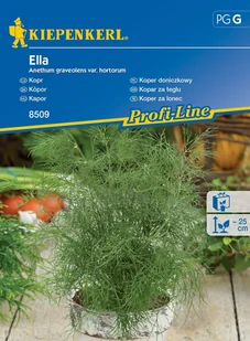Koper Doniczkowy Ella 8509 (St) - Nasiona i cebule - miniaturka - grafika 1