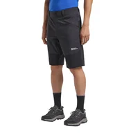 Spodenki męskie - Krótkie spodenki męskie Jack Wolfskin HIKING ALPINE SHORT M Phantom - 50 - miniaturka - grafika 1